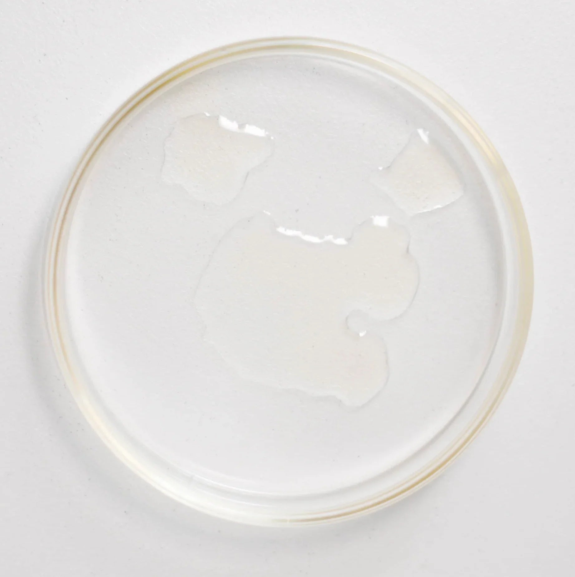 NUEVOS RULOS: SERUM CAPILAR - Tao Lab