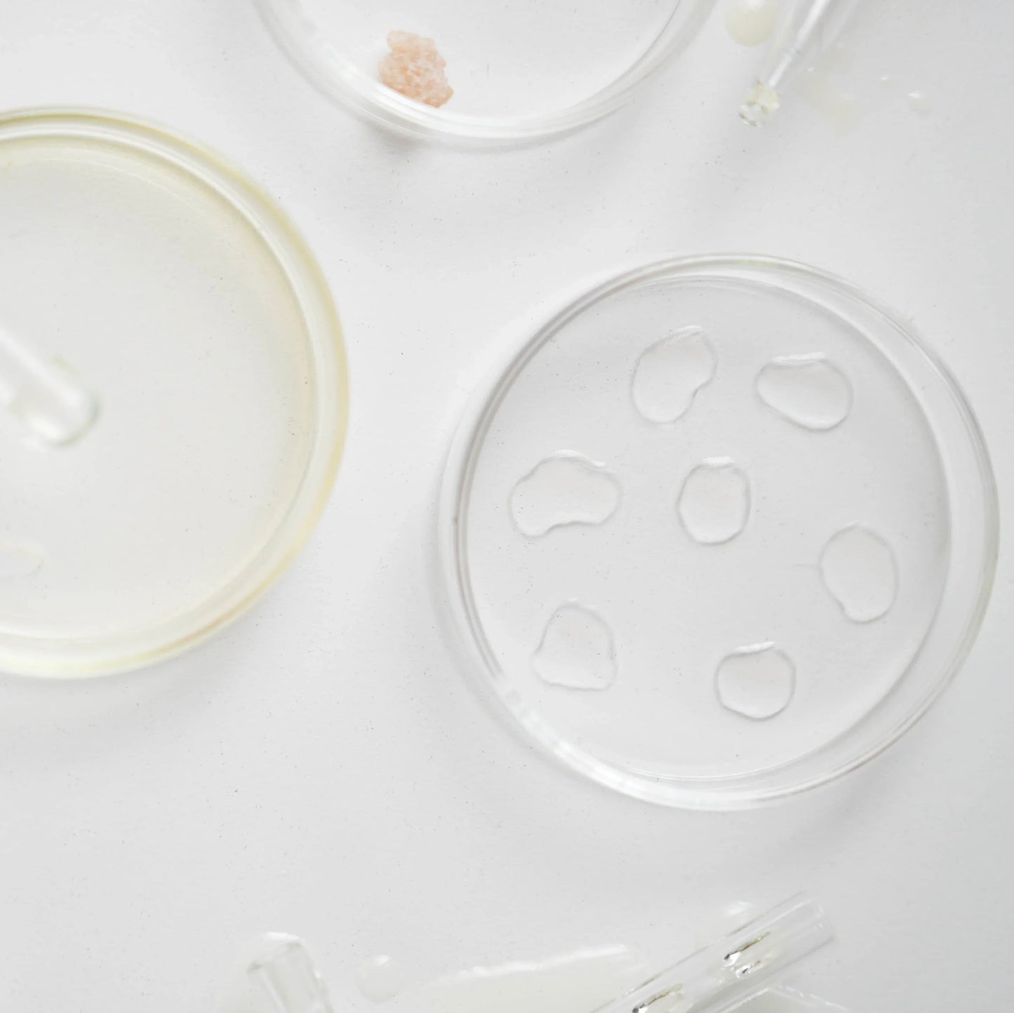 GLOW: SERUM FACIAL ILUMINADOR - Tao Lab